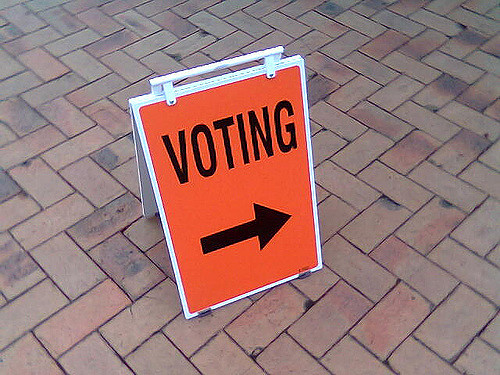 "Voting" by Amanda Wood